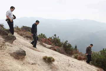 捕杀候鸟的一本糊涂账