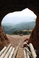捕杀候鸟的一本糊涂账1