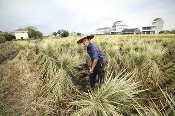 温岭虐童案发生之后3