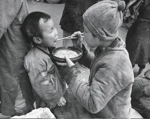 1942年：河南之灾与失控之国