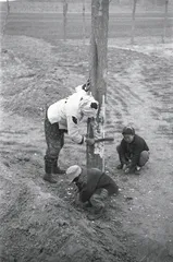 1942年：河南之灾与失控之国4
