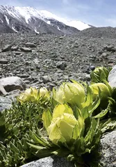 夏的新疆1