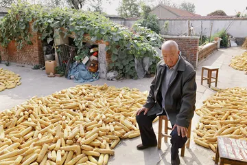 莫言与故乡