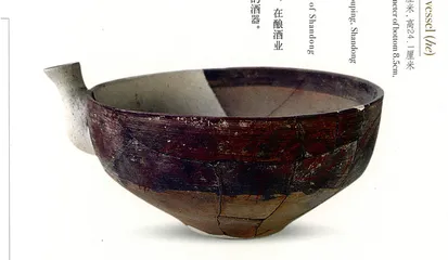 舌尖上的史前中国3
