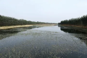 莫言与故乡6