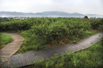 良渚：巫政之国的兴衰1