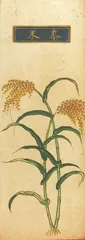 中原农业与文明崛起3