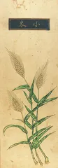 中原农业与文明崛起4