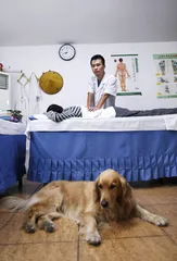 中国导盲犬的希望和困境1
