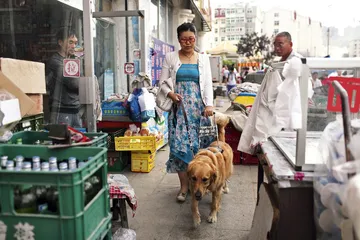 中国导盲犬的希望和困境3