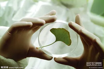 好消息·坏消息（703）3