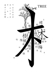你是什么字体？4