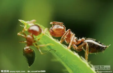 好消息·坏消息（704）1