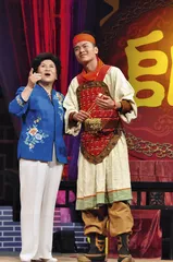 “老书新说”刘兰芳