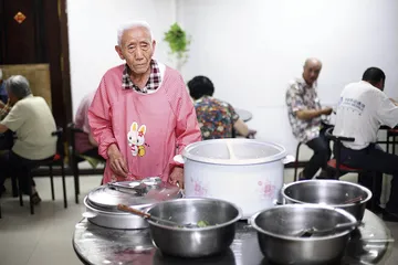 惹争议的人脑制造计划1