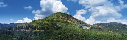 化石与磷矿：帽天山的艰难“世遗”路