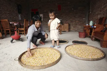 一场灾难的定价困局2