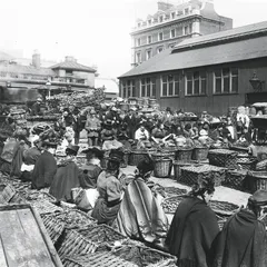 1908—— 赛道上的帝国斜阳8