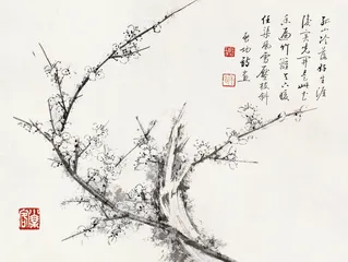 启功：“坚净居”里“坚净翁”3