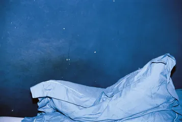 懒惰的视觉6