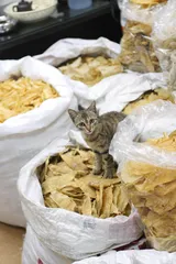 潮汕饮食的前世今生1