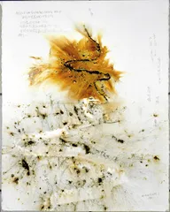 蔡国强：春在西湖3