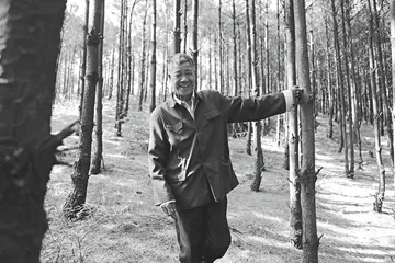 陆良植树队：八个和一个2
