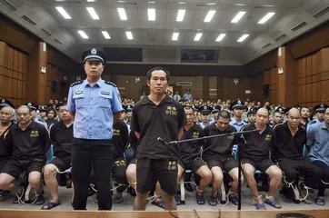 广州芳村：花卉装卸里的“黑生意”