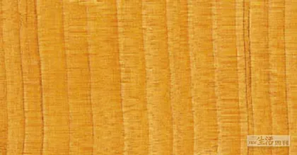 好消息·坏消息（687）3