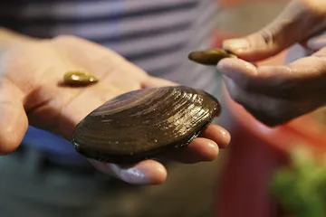 潮菜百态：一饭一传奇5