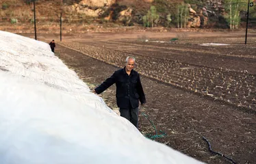 村主任火烧乡政府：一张白条引发的悲剧4