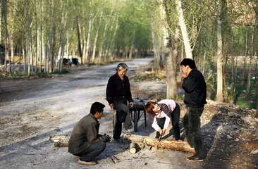 村主任火烧乡政府：一张白条引发的悲剧5