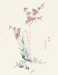 木版水印与十竹斋1