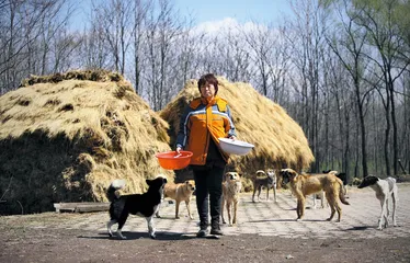 哈尔滨：爱狗人的救狗方式