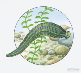 好消息·坏消息（681）1