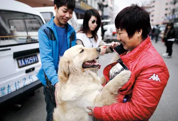 哈尔滨：爱狗人的救狗方式4
