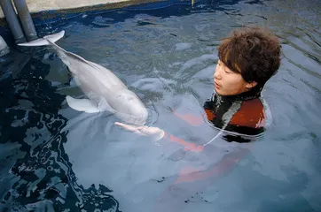 东洞庭湖江豚之死：资源性湖泊的环保困境6