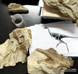 “华丽羽王龙”：带羽毛的超级恐龙2
