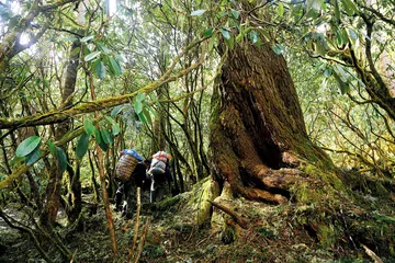 雅江峡谷遇险：难以规范的穿越行动6