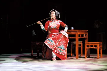 谁的赛金花，何种赛金花2