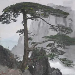 百年收藏6
