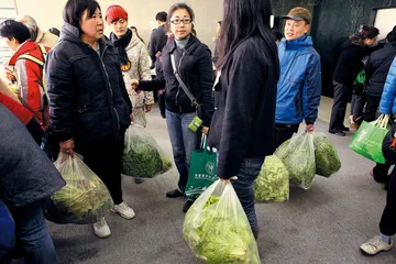 北京农夫市集：偌大的世界，一小张饭桌1