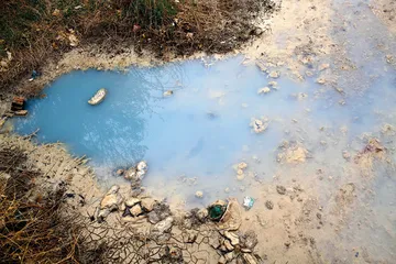 河北前宋村明胶产业调查1