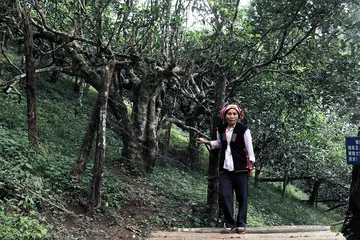 当时尚诠释艺术
