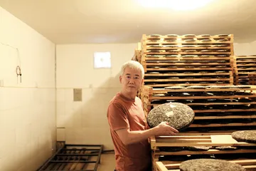 普洱古树茶之奥秘：山地古树之美2