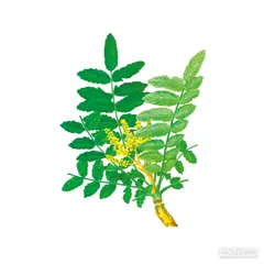 好消息·坏消息（664）3