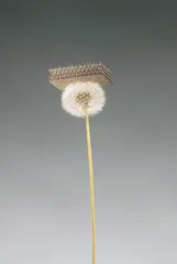 天下(659)10