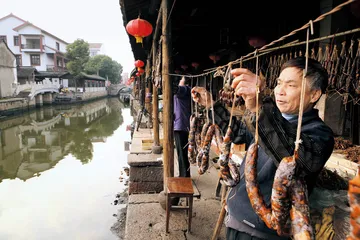 无可告别的故乡2