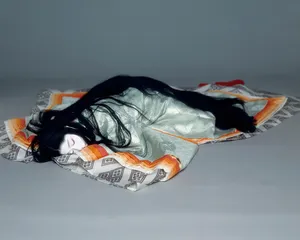 坂东玉三郎：女形与艺道5
