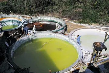 隐匿的财富：赣州稀土矿私采调查2
